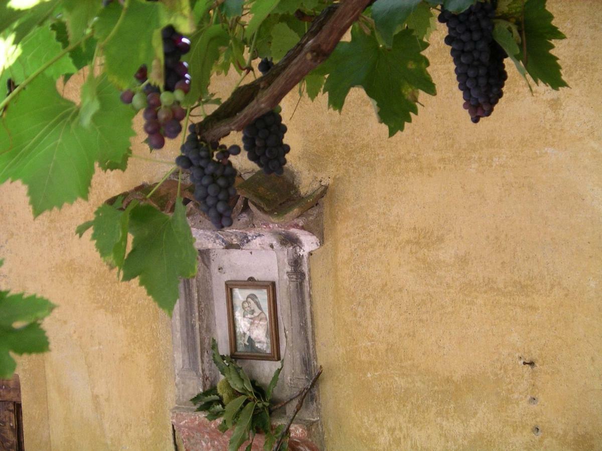 Vila Casa 1659 - Casa Parrucchiere Gandria Exteriér fotografie